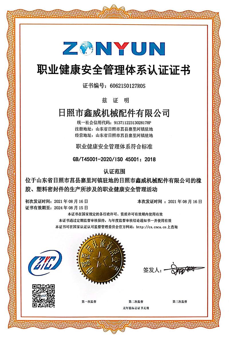 Occupational health and safety management system certification